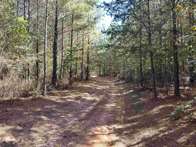 $76,500 | Lot 2 Green Creek Road, Schuyler, VA 22969