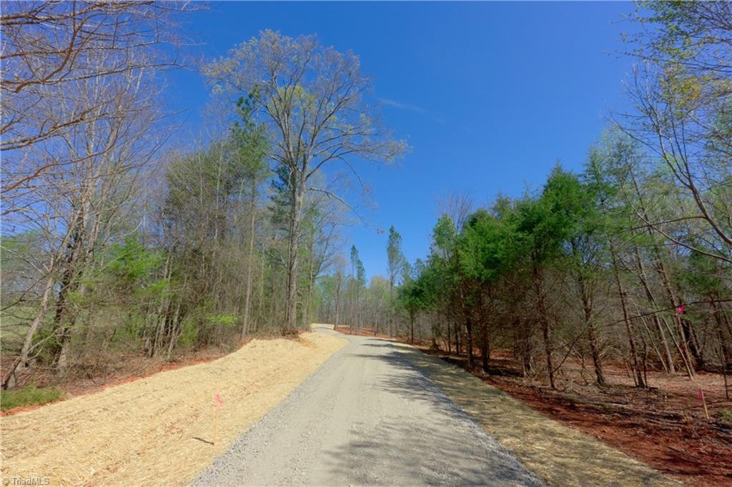 2 Alexander Farm Road Harmony, NC 28634 - Photo 2 of 33
