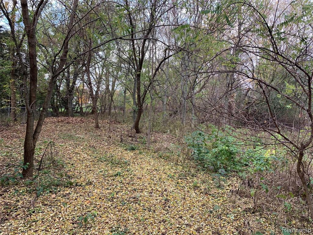 978 Lake Nepessing Road Lapeer, MI 48446 - Photo 1 of 3