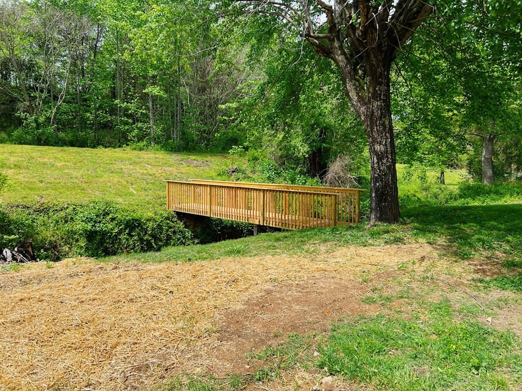 111 Greasy Cove Road Cosby, TN 37722 - Photo 17 of 40 Gallery Image 17