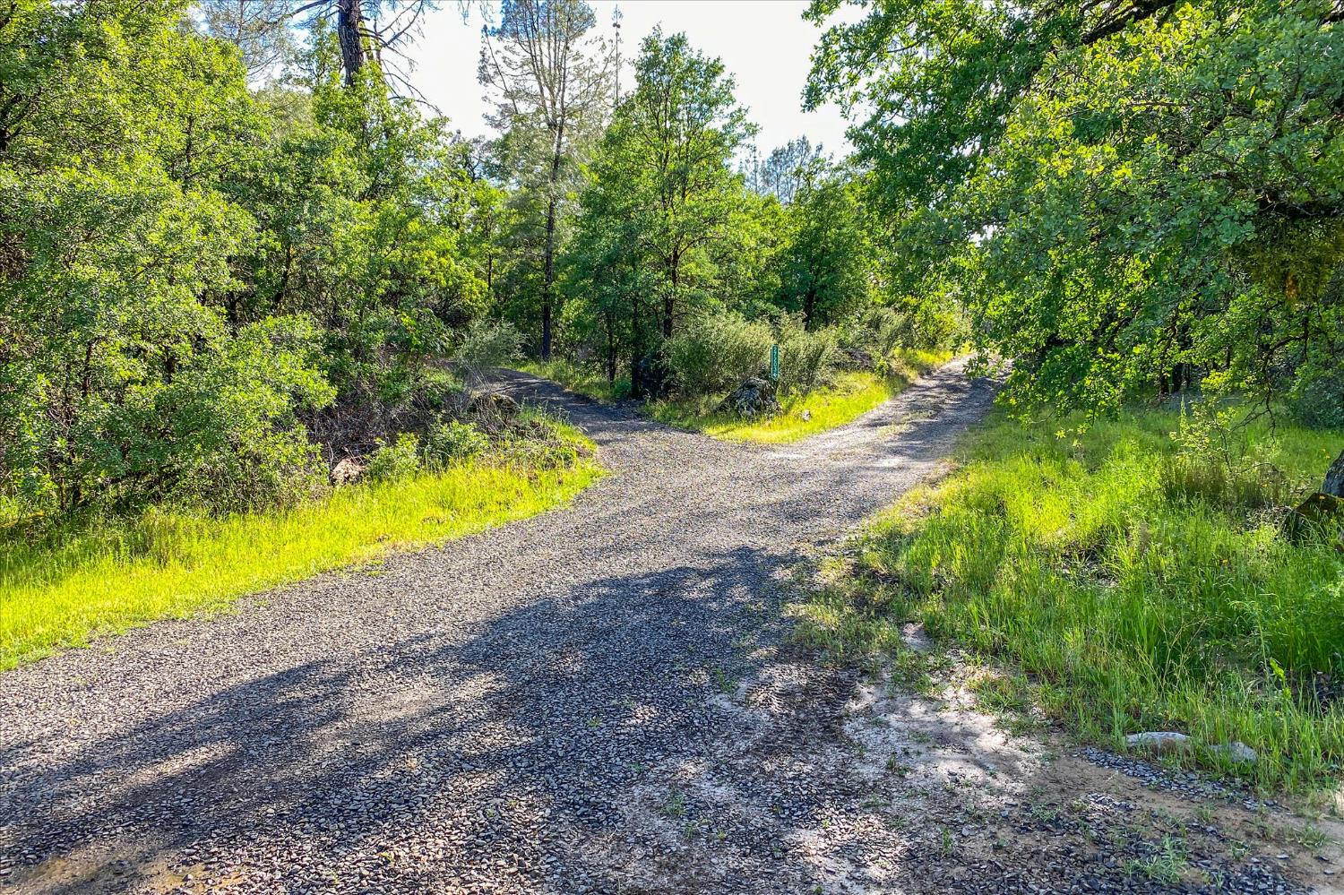 0 Donkey Mine Road Oak Run, CA 96069 - Photo 3 of 19 Gallery Image 3