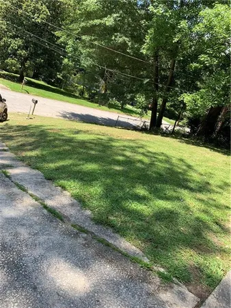a view of a yard with a large trees
