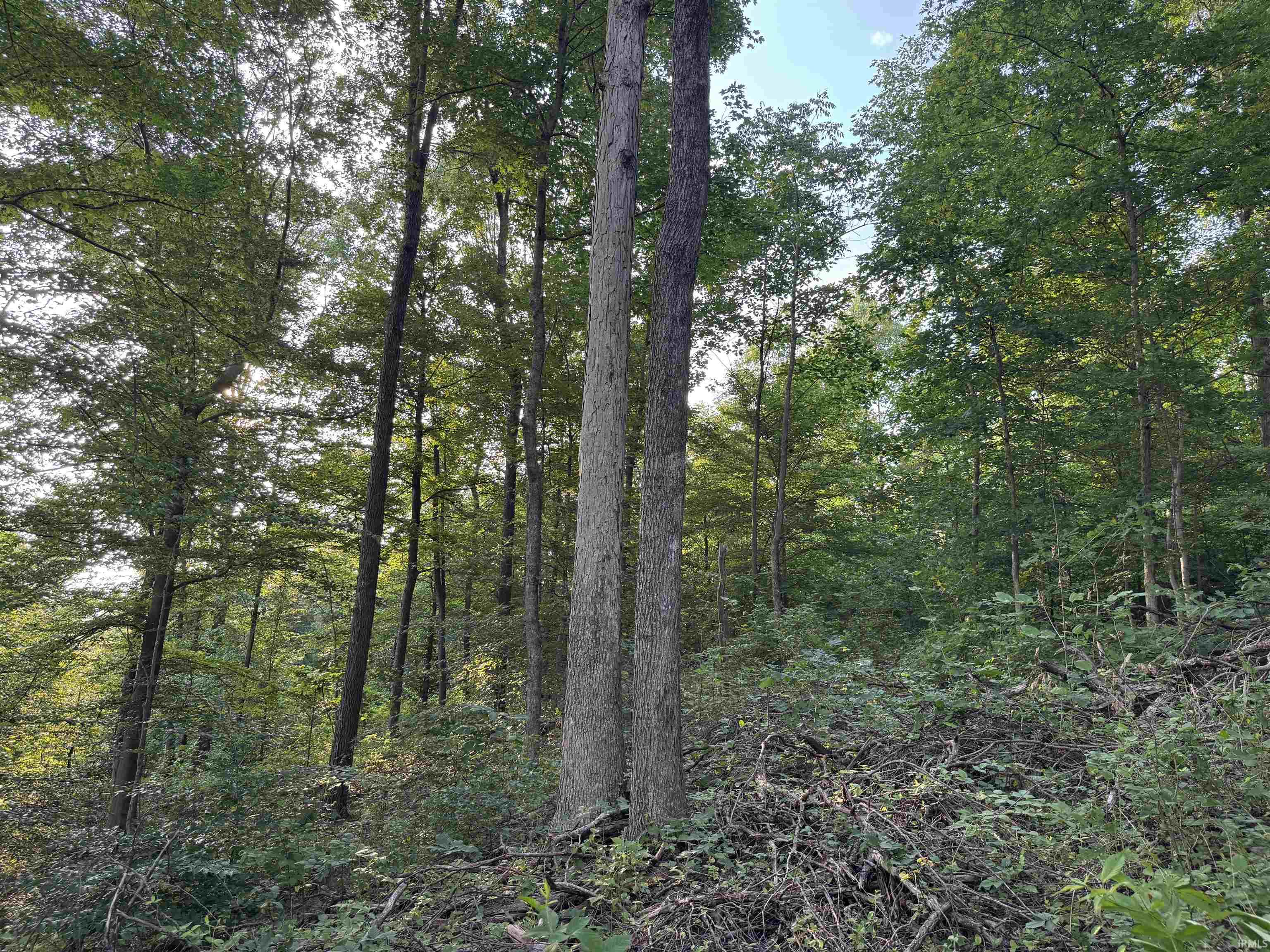 Off Atlanta Road Tell City, IN 47586 - Photo 20 of 33