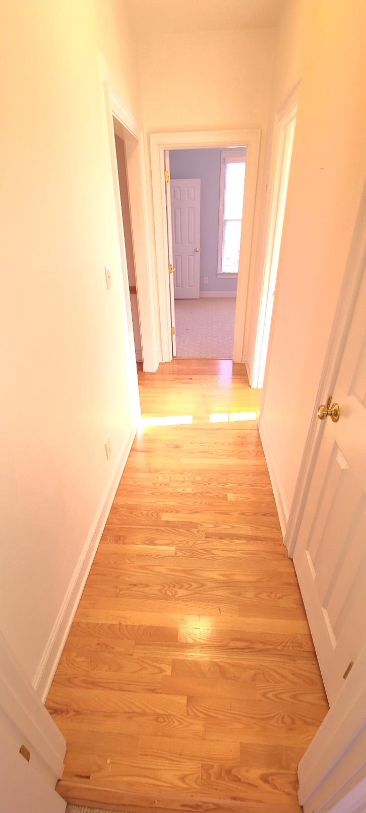 175 Shore Heights Drive Inman, SC 29349 - Photo 20 of 36 Gallery Image 20
