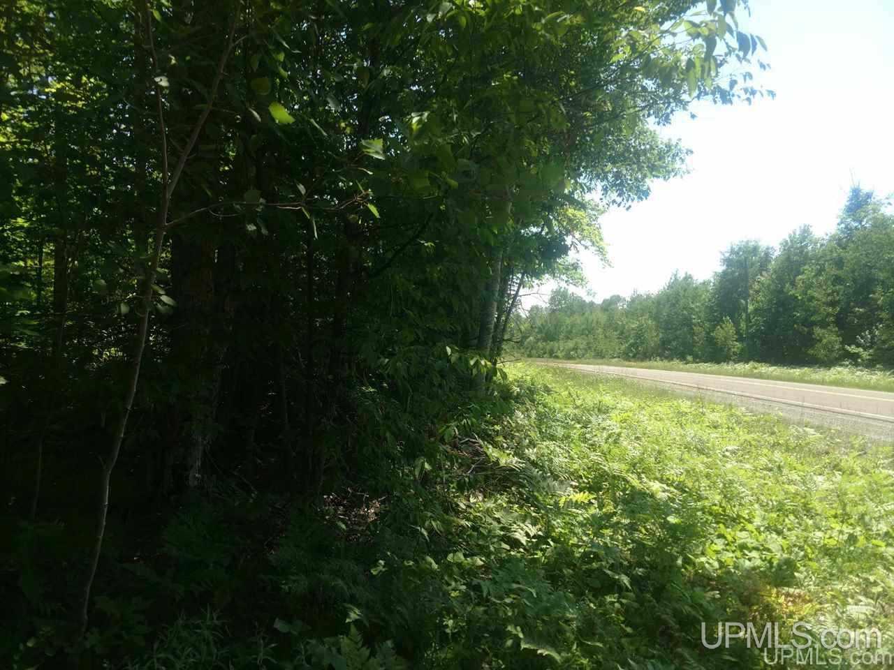 Tbd Karschney Road South Lanse, MI 49946 - Photo 10 of 11