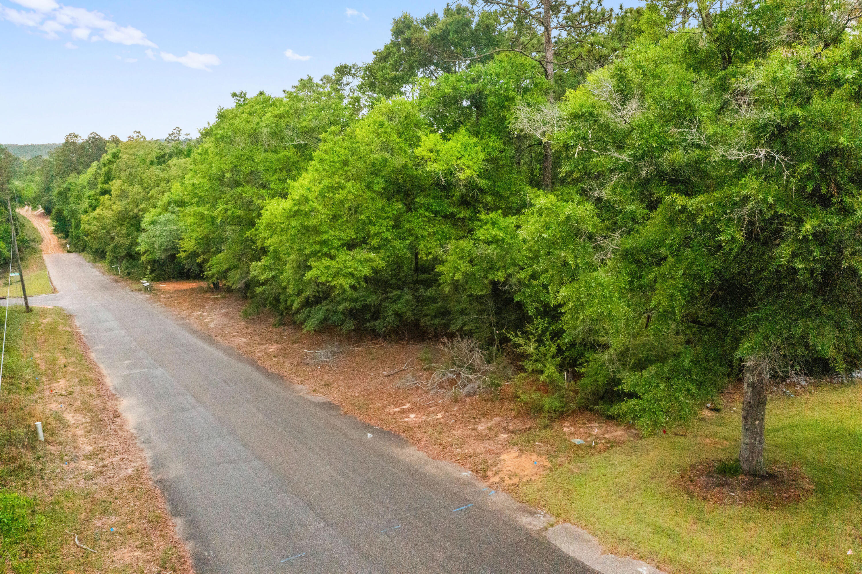 . Sam Carver Road Crestview, FL 32536 - Photo 12 of 27 SamCarverRdLand-Crestview-FL-012