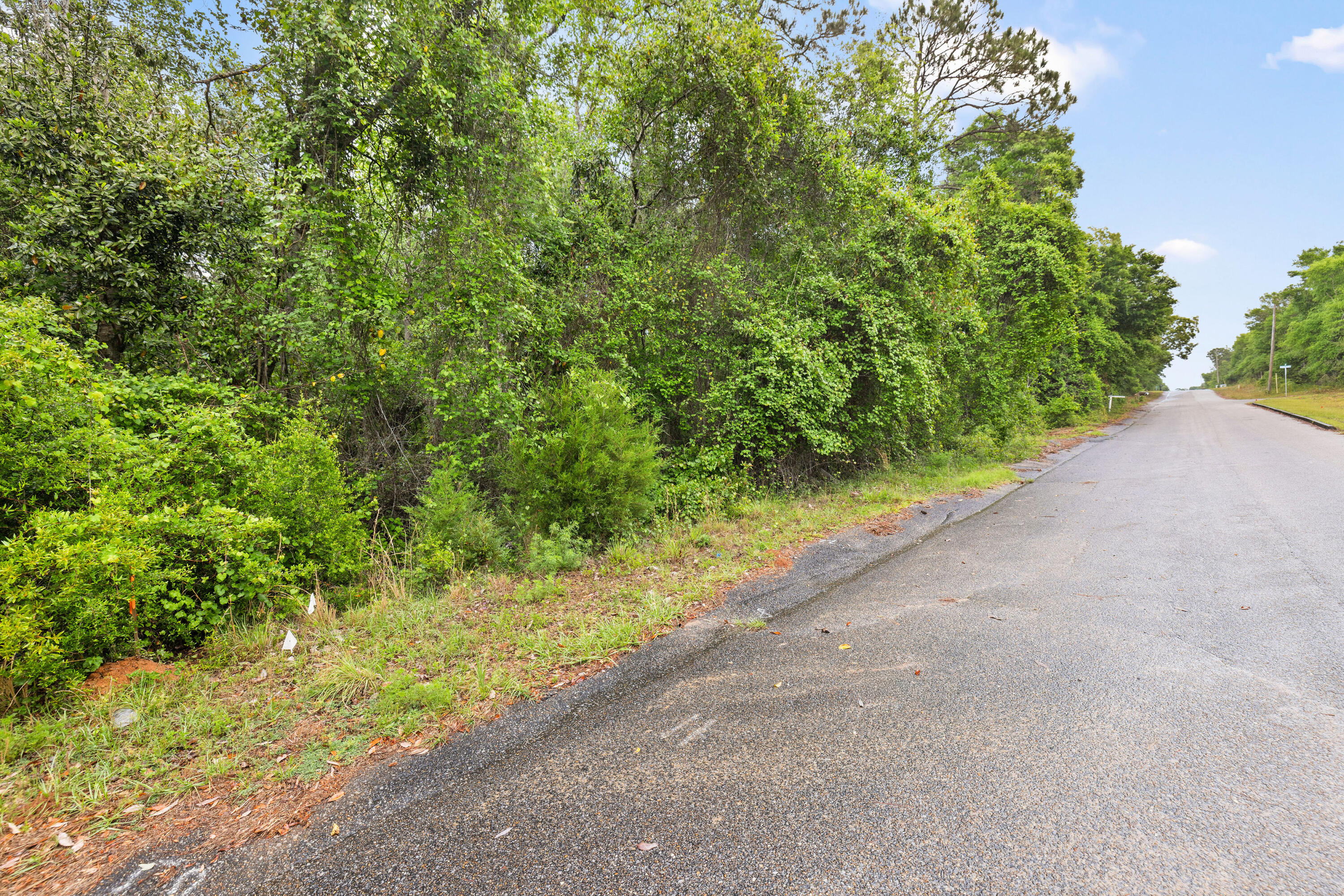 . Sam Carver Road Crestview, FL 32536 - Photo 16 of 27 SamCarverRdLand-Crestview-FL-016