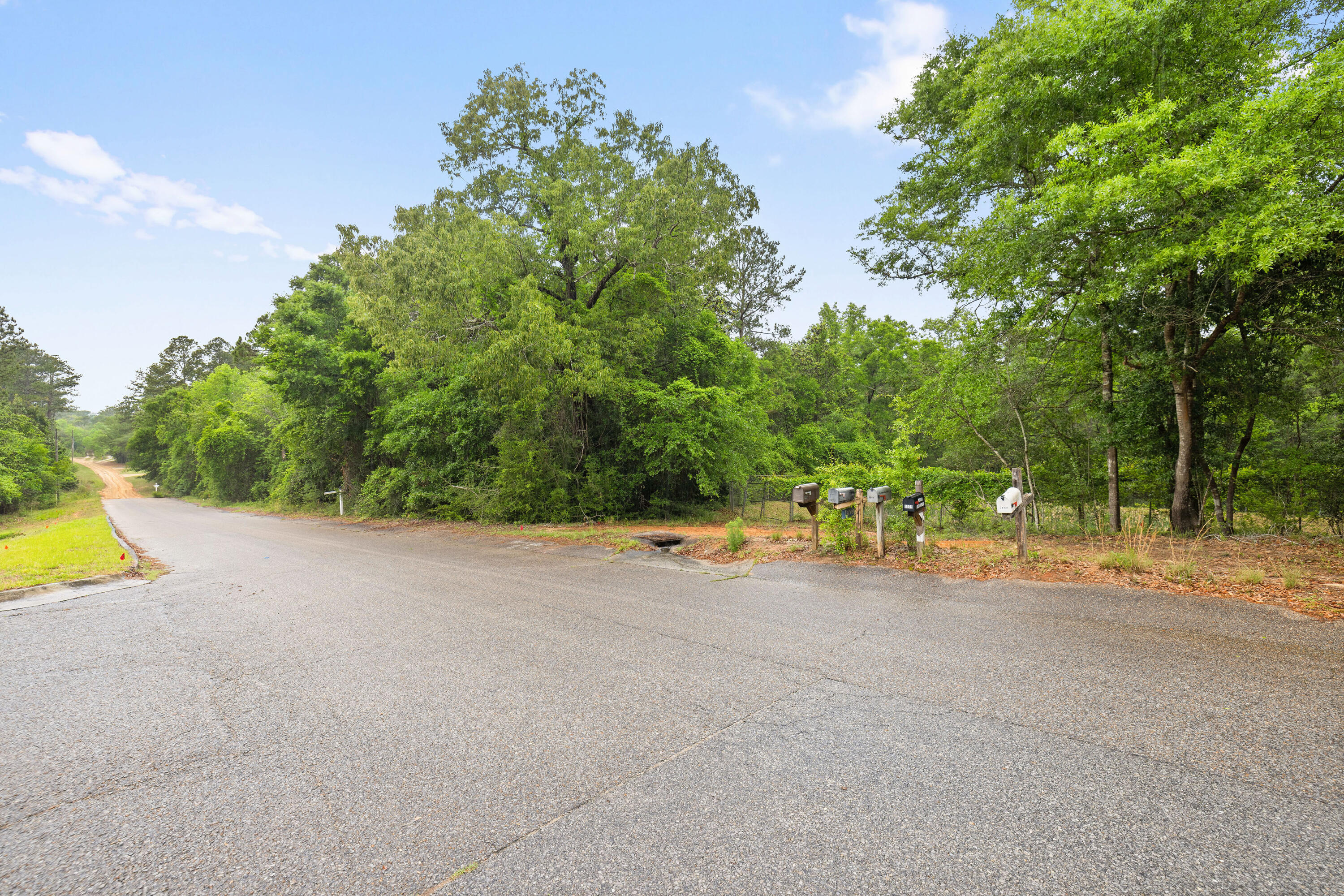 . Sam Carver Road Crestview, FL 32536 - Photo 17 of 27 SamCarverRdLand-Crestview-FL-017