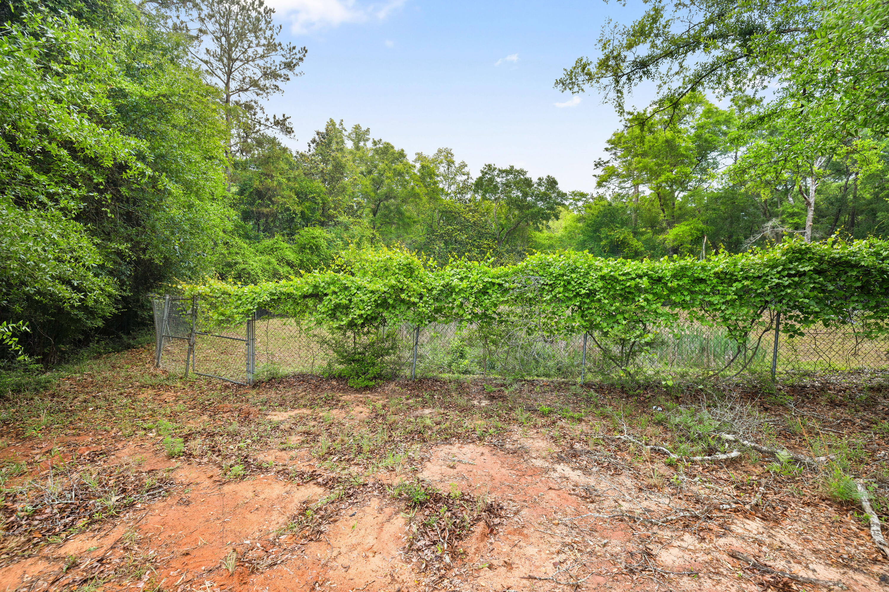 . Sam Carver Road Crestview, FL 32536 - Photo 18 of 27 SamCarverRdLand-Crestview-FL-018