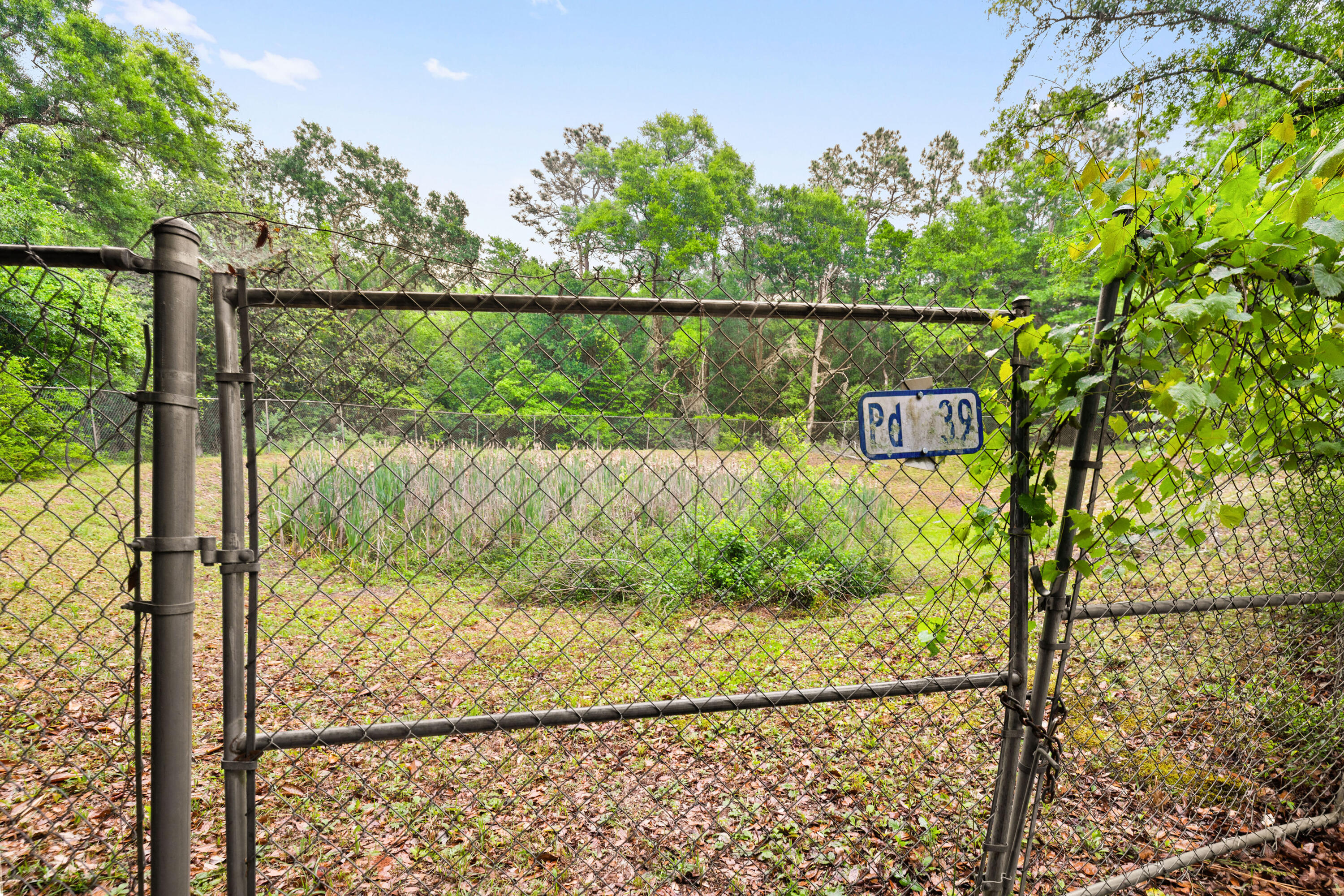 . Sam Carver Road Crestview, FL 32536 - Photo 19 of 27 SamCarverRdLand-Crestview-FL-019