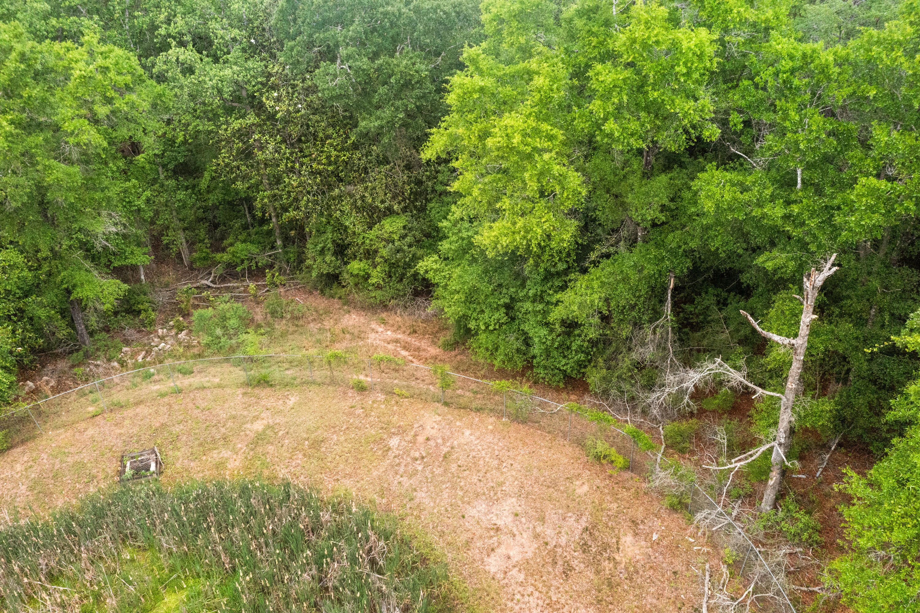 . Sam Carver Road Crestview, FL 32536 - Photo 22 of 27 SamCarverRdLand-Crestview-FL-022