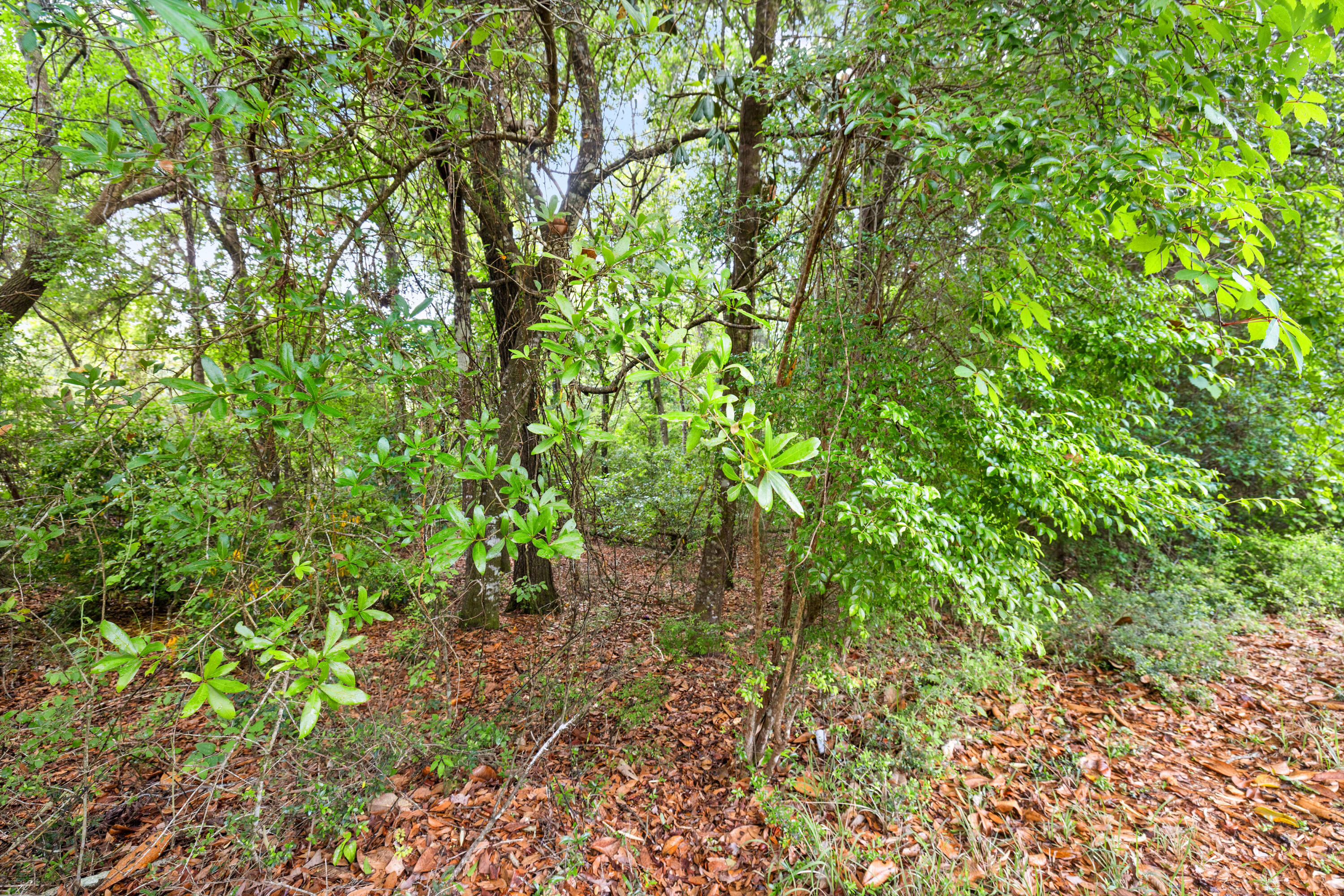 . Sam Carver Road Crestview, FL 32536 - Photo 24 of 27 SamCarverRdLand-Crestview-FL-024