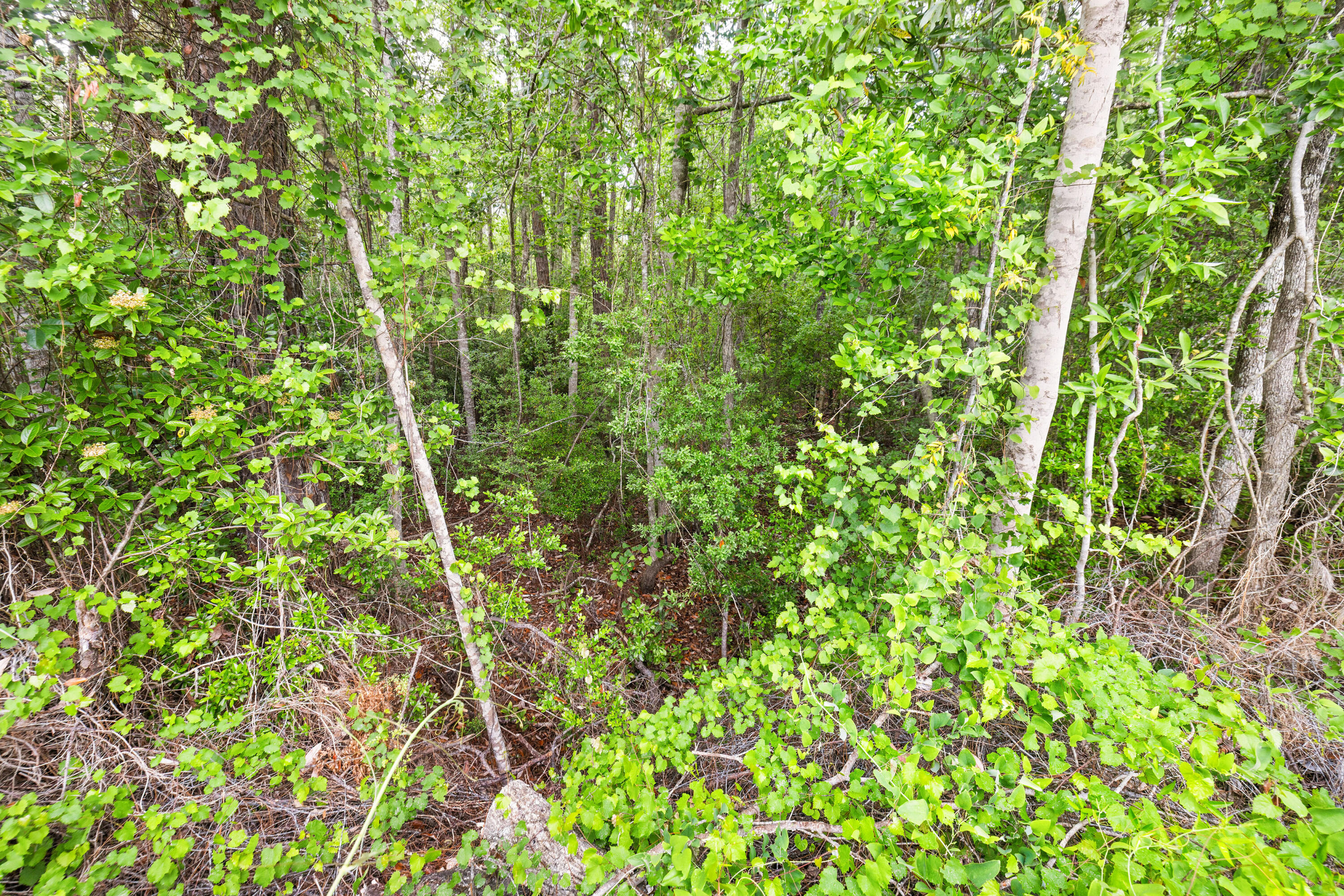 . Sam Carver Road Crestview, FL 32536 - Photo 26 of 27 SamCarverRdLand-Crestview-FL-026