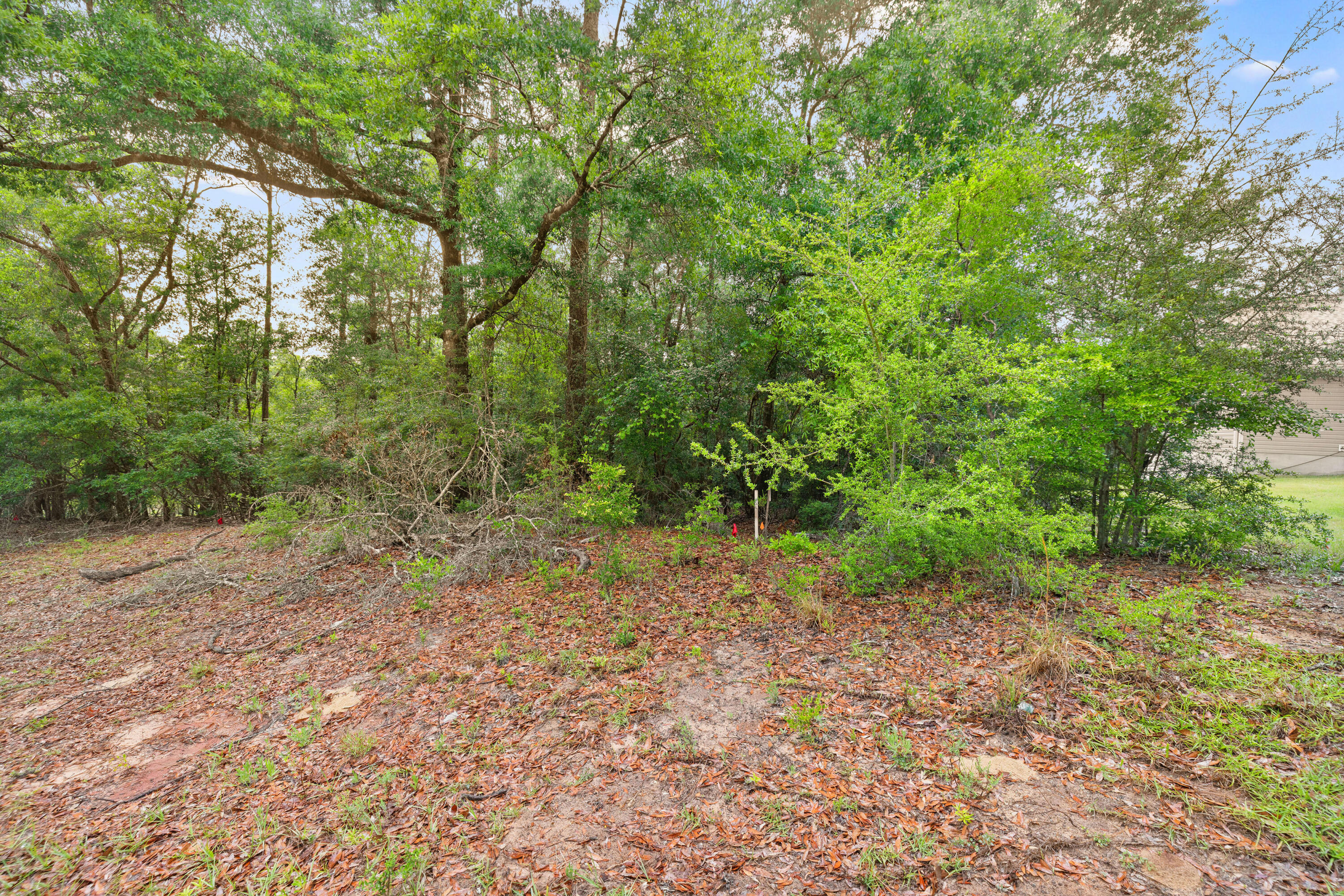 . Sam Carver Road Crestview, FL 32536 - Photo 27 of 27 SamCarverRdLand-Crestview-FL-027