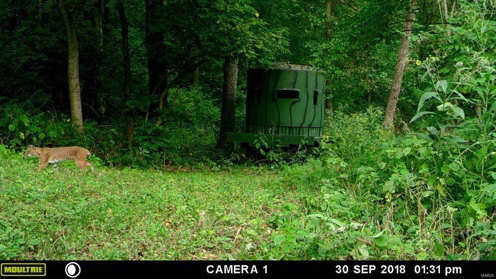 0 Spankey Road Eldred, IL 62027 - Photo 29 of 32
