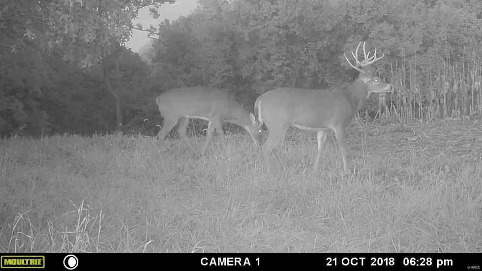 0 Spankey Road Eldred, IL 62027 - Photo 30 of 32