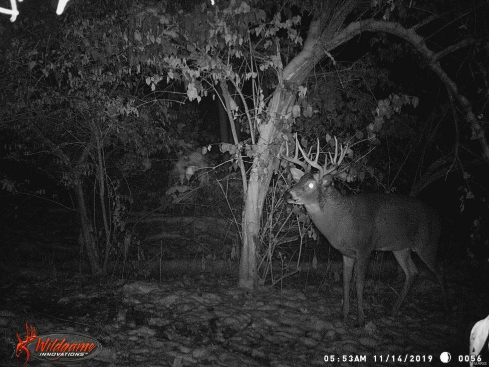 0 Spankey Road Eldred, IL 62027 - Photo 31 of 32
