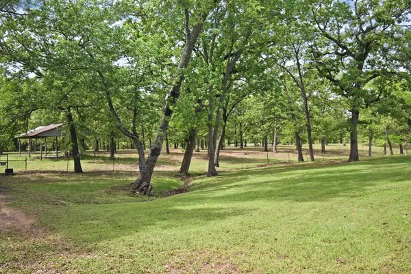 a view of a park