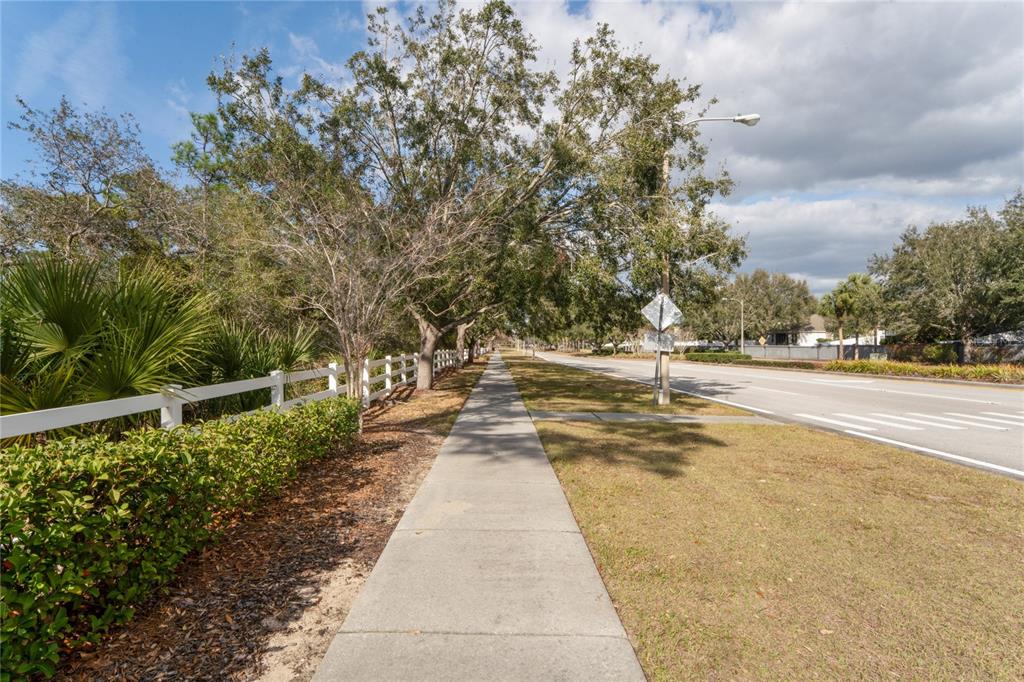 14229 Leybourne Way Spring Hill, FL 34609 - Photo 83 of 94