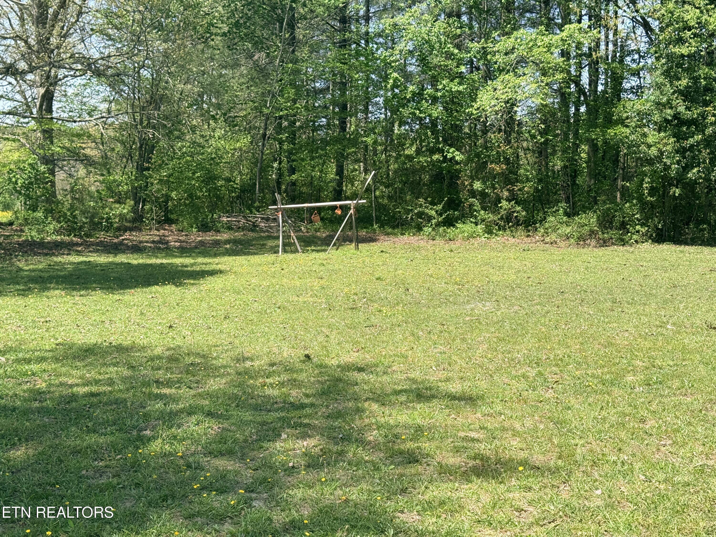 174 Claude Howard Road Deer Lodge, TN 37726 - Photo 51 of 58 IMG_3850