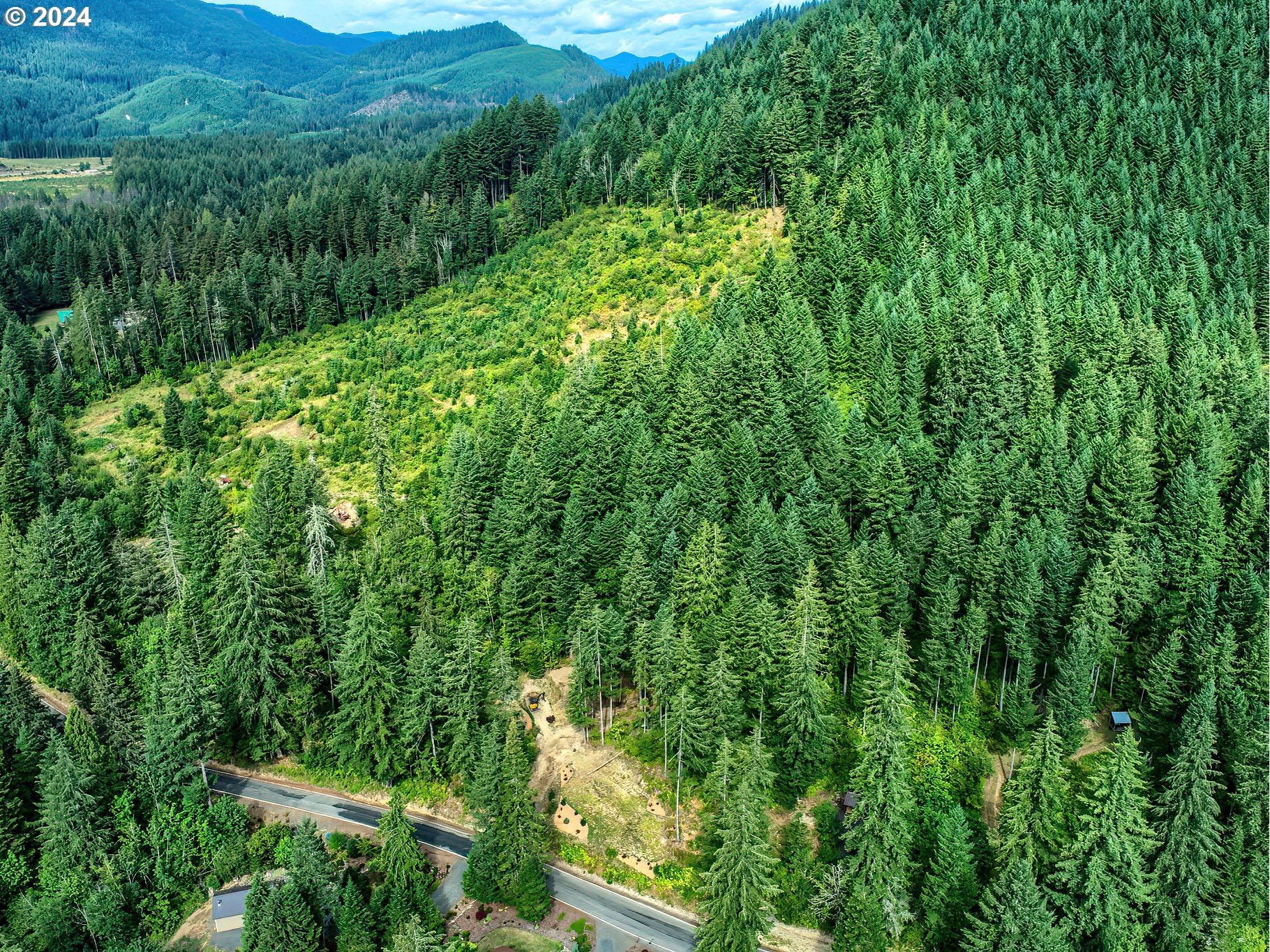 Bear Creek Road Carson, WA 98610 - Photo 2 of 8