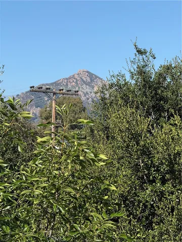 a view of a lush green field