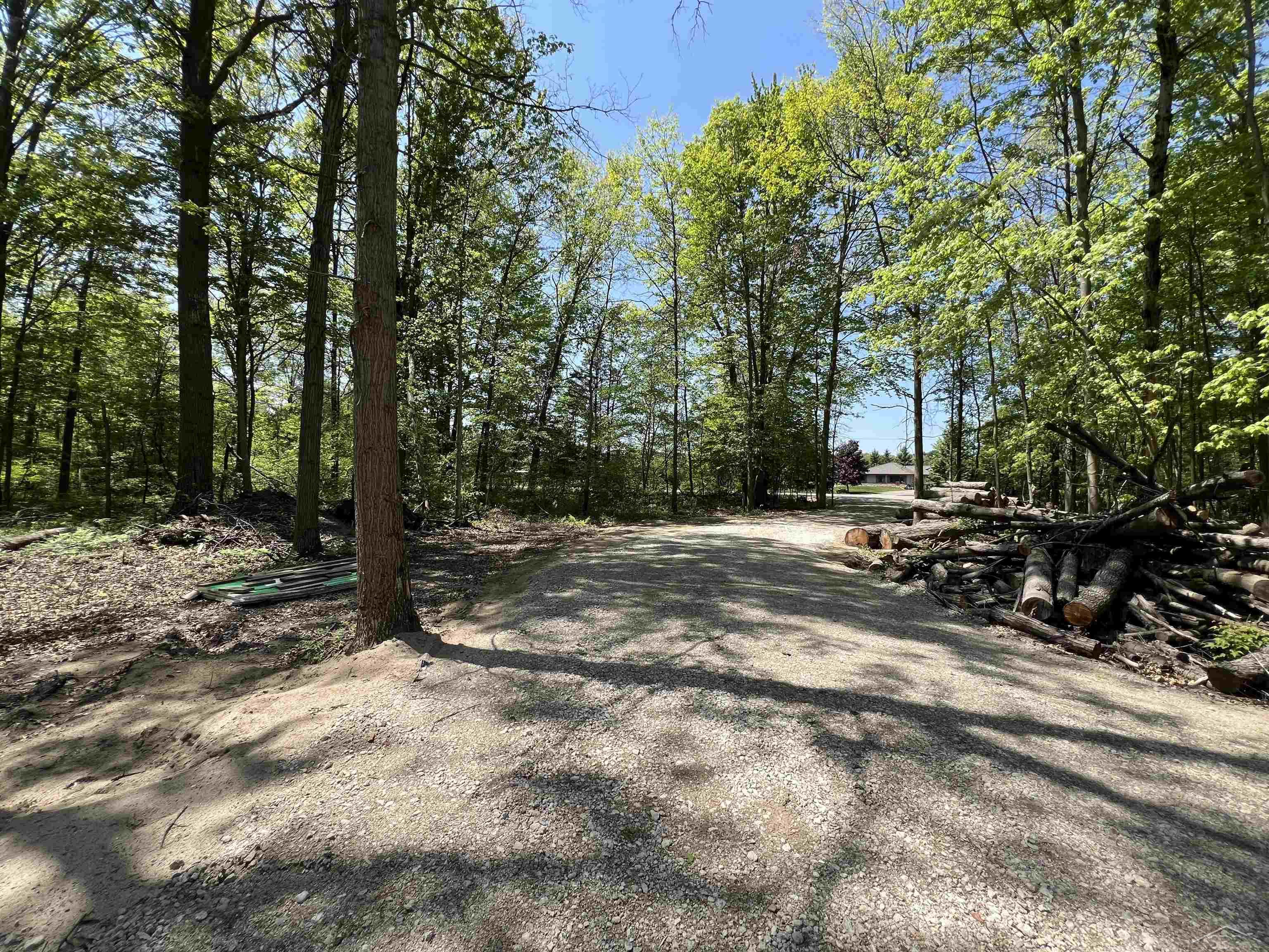 65 South Magruder Road Shepherd, MI 48883 - Photo 11 of 22