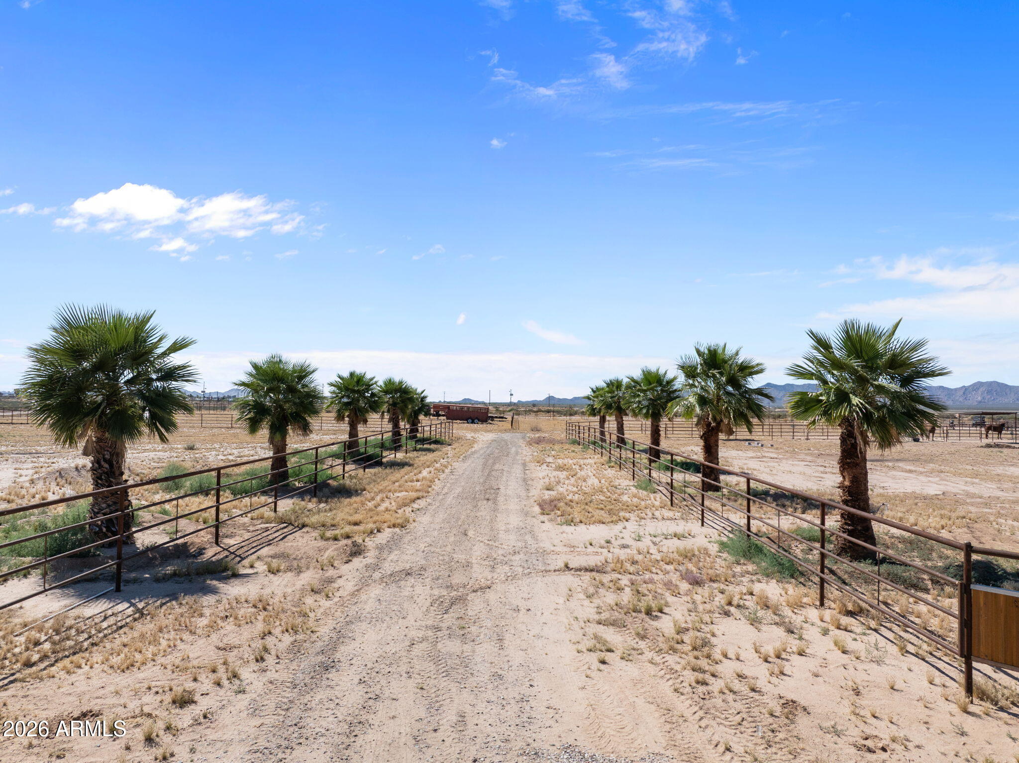 37418 Carters Road Salome, AZ 85348 - Photo 8 of 25 a view of outdoor space with palm trees