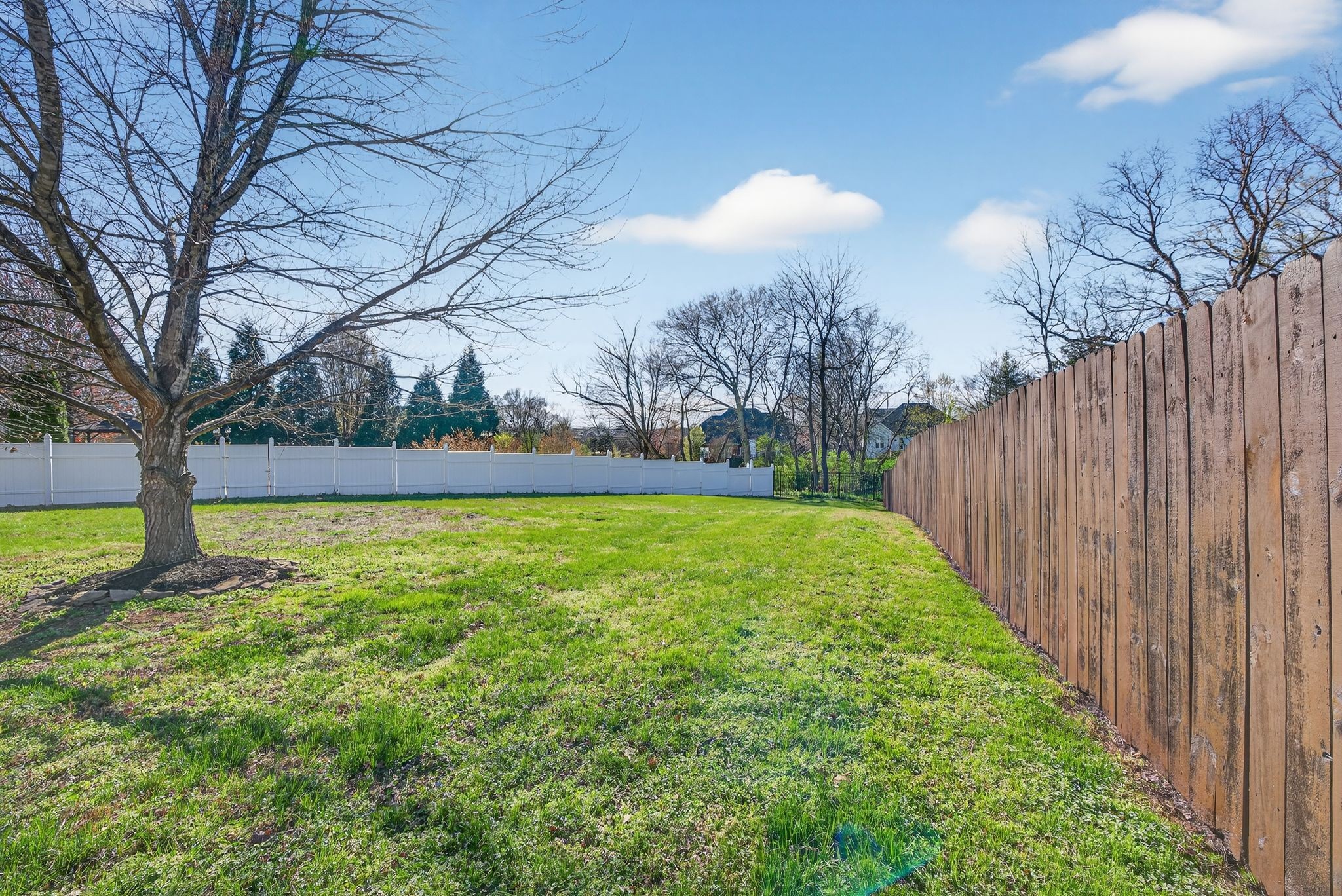 1183 McCoury Lane Spring Hill, TN 37174 - Photo 61 of 72