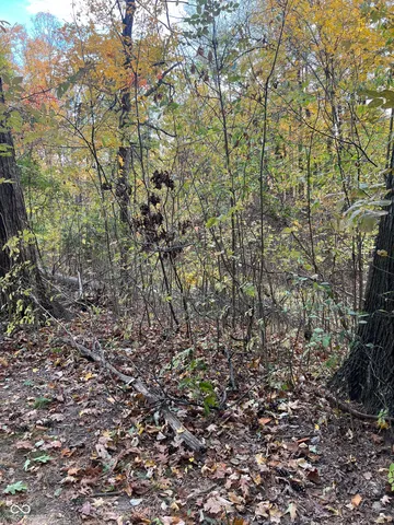 $245,000 | 1004 North Virginia Street, Rockville, IN 47872