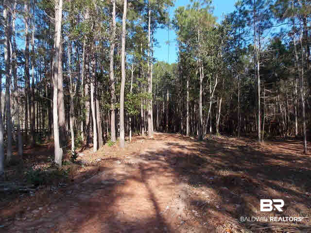 9094 Bay Road Magnolia Springs, AL 36555 - Photo 14 of 27 Waterfront Lots