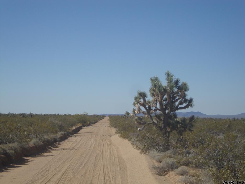 762 C Roy Rogers Road Yucca, AZ 86438 - Photo 15 of 20 Additional Photo