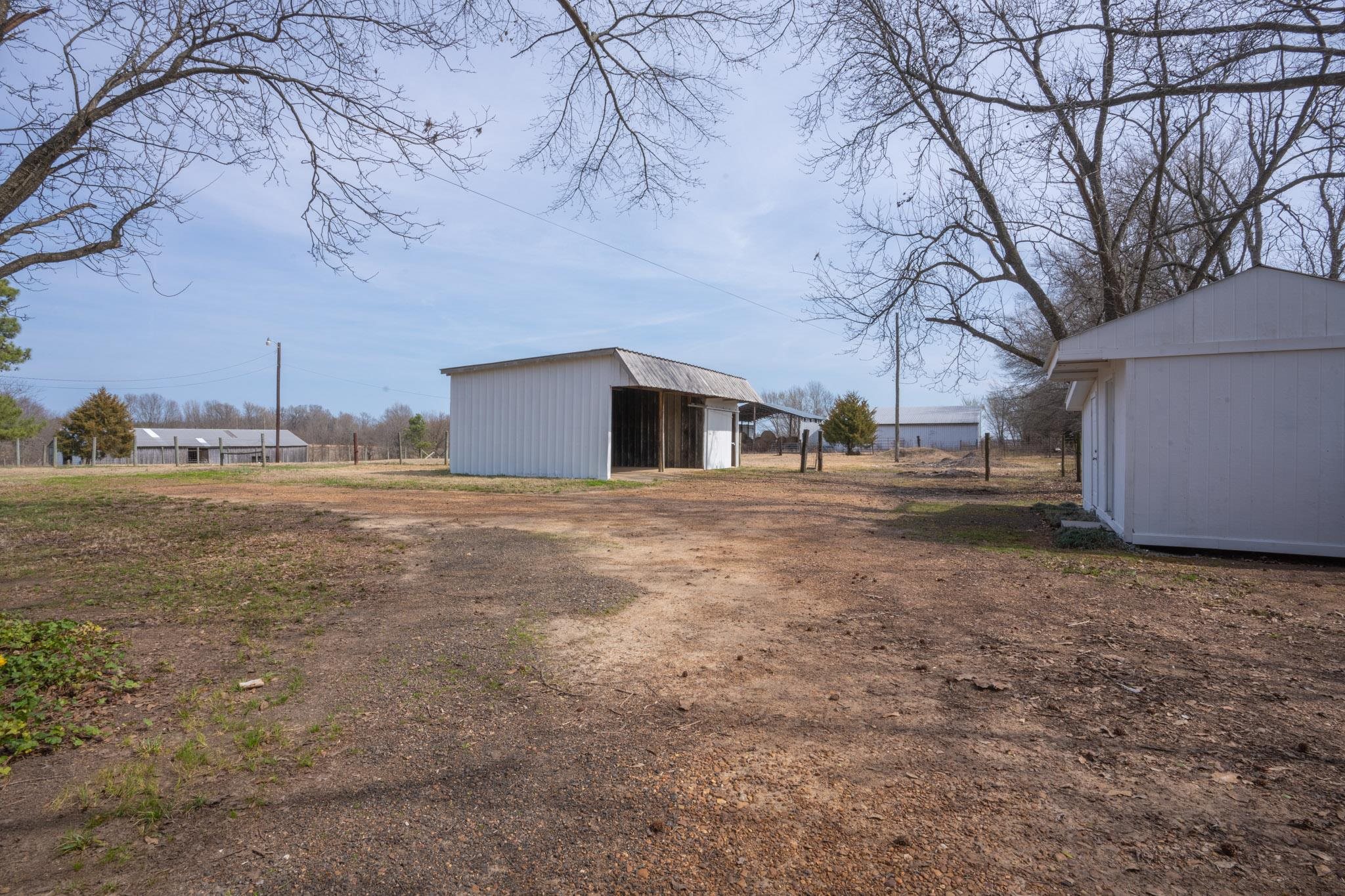 3616 Jack Pond Road Mason, TN 38049 - Photo 19 of 23 a view of a backyard with large trees