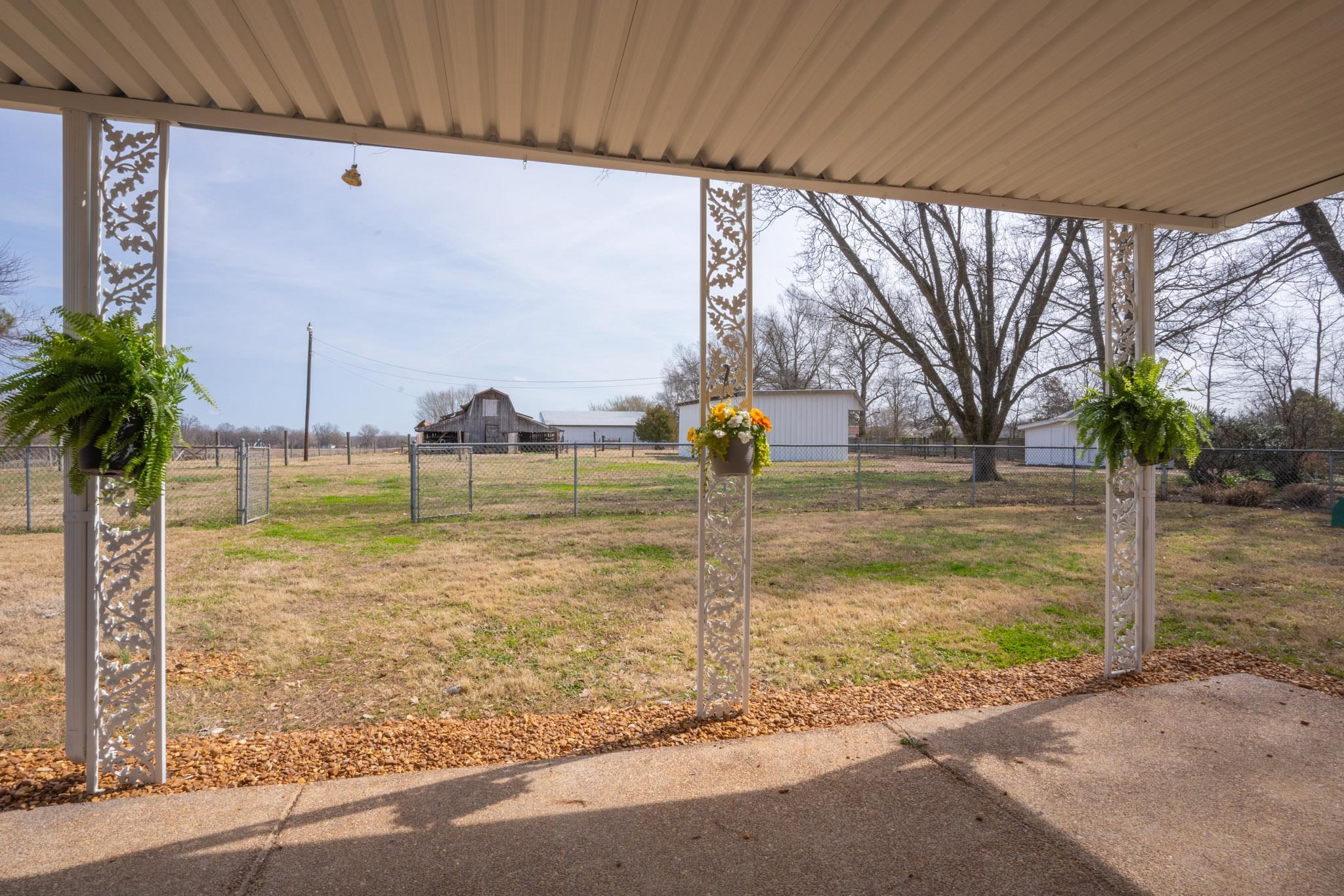 3616 Jack Pond Road Mason, TN 38049 - Photo 22 of 23 a view of a yard with an outdoor space