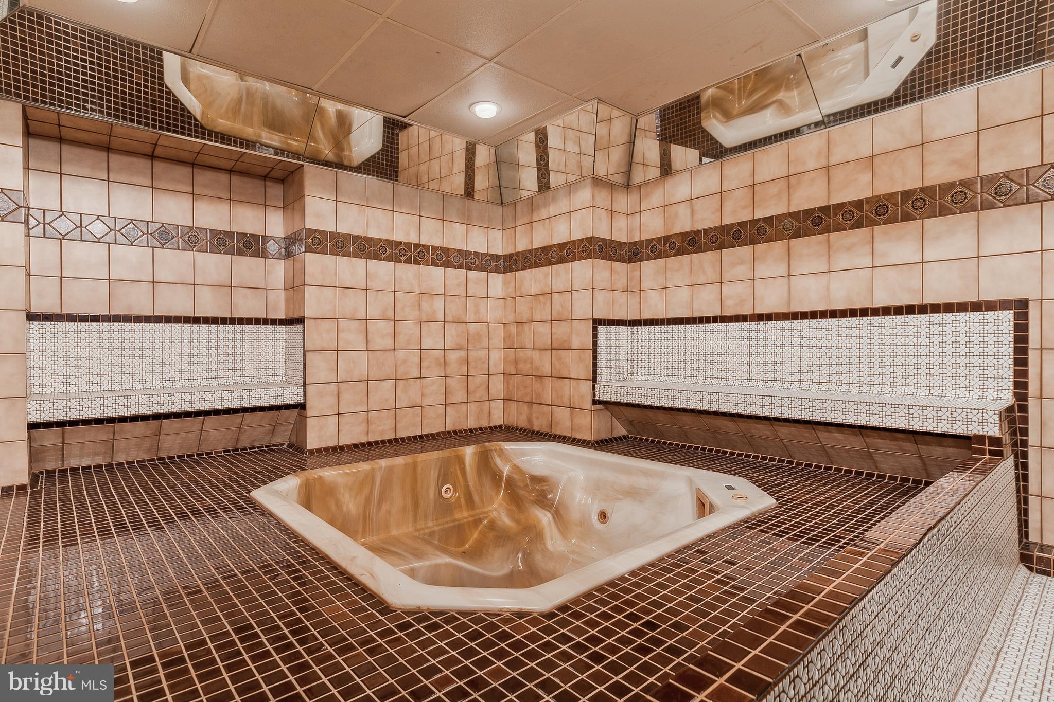 18533 Wagaman Road Hagerstown, MD 21740 - Photo 27 of 30 Indoor SPA