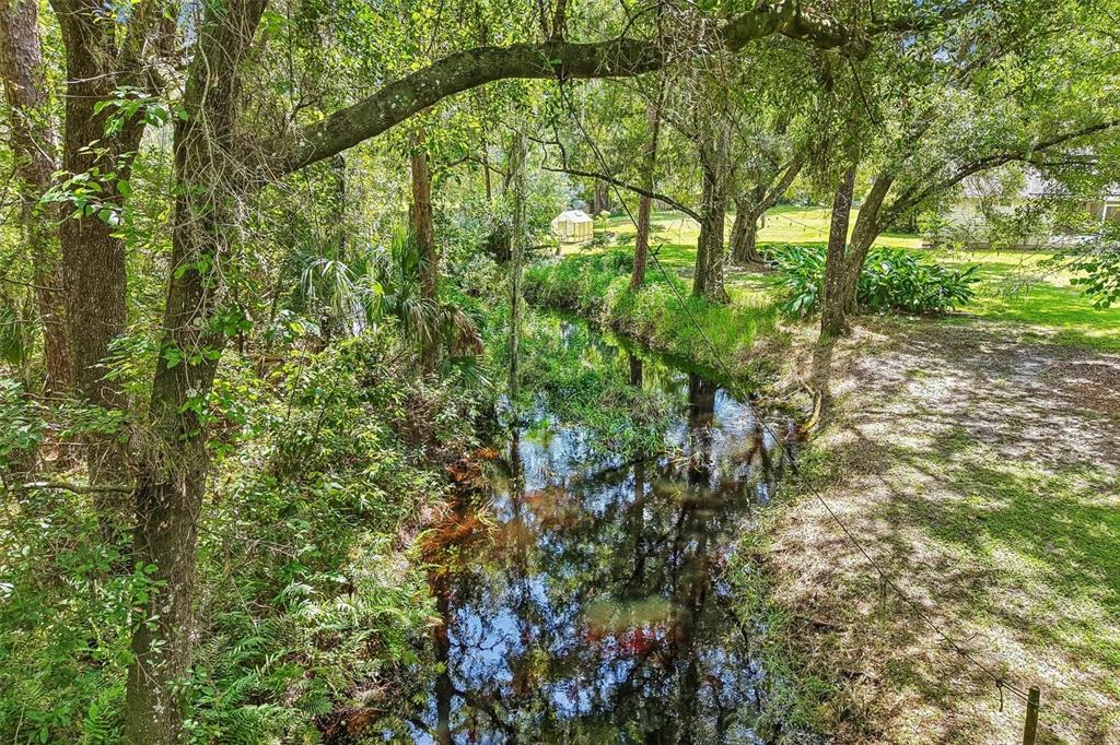 33245 Mandrake Road Wesley Chapel, FL 33543 - Photo 37 of 43 Gallery Image 37