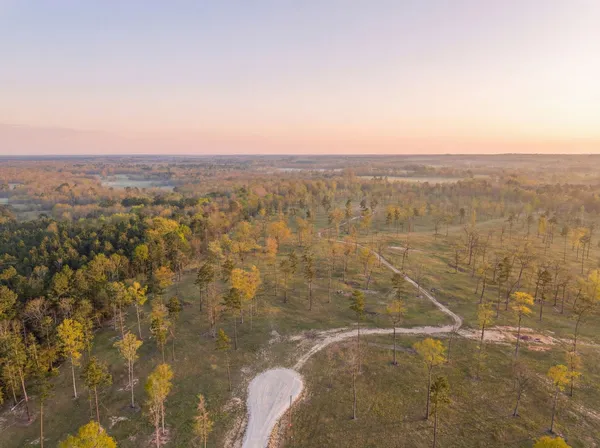 $429,600 | Lot 7 Johnson Drive, Livingston, TX 77351