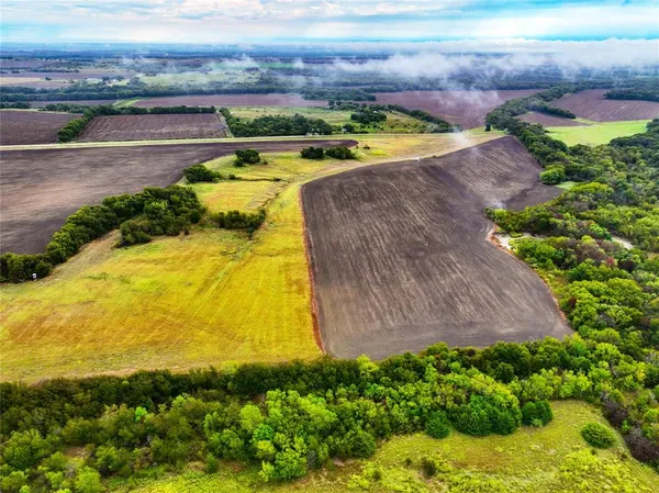 a view of a garden with an ocean