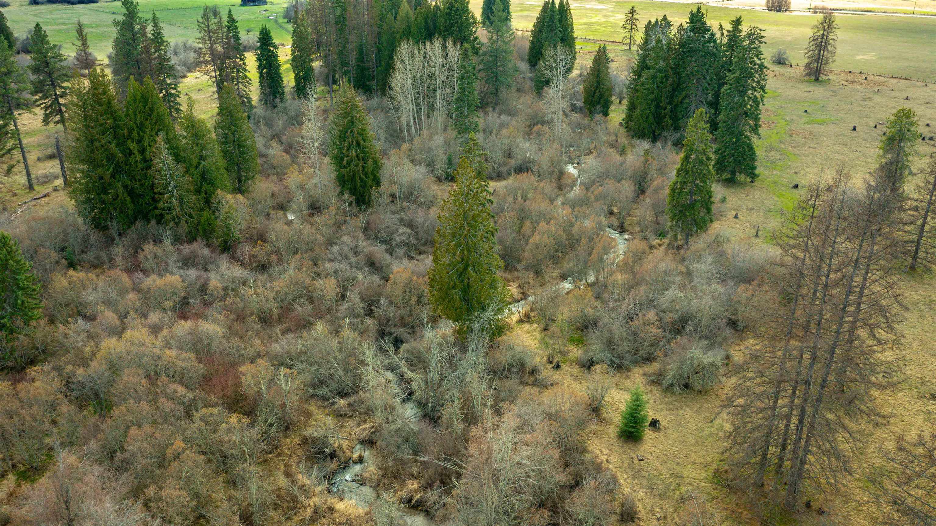 901 Skookum Creek Road Usk, WA 99180 - Photo 44 of 50