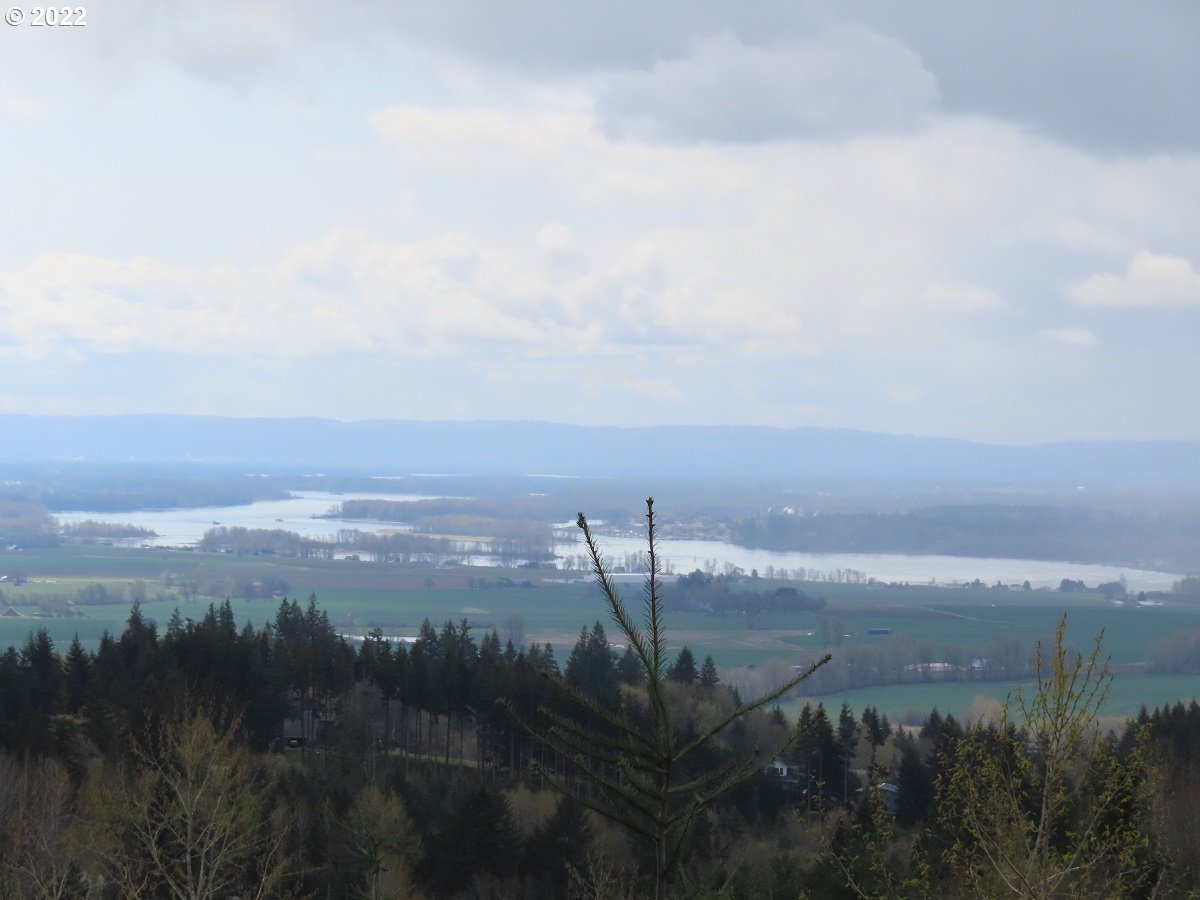 903 Confer Road Kalama, WA 98625 - Photo 11 of 24