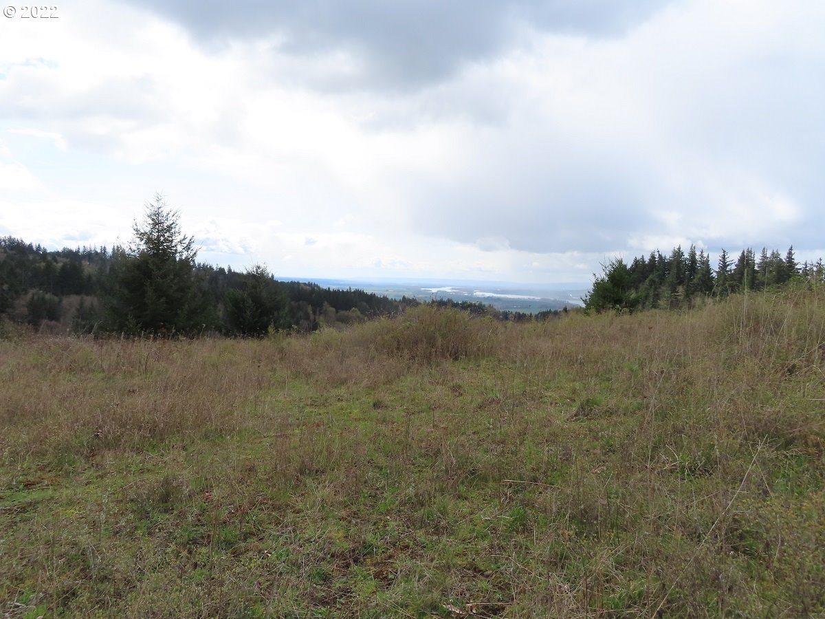 903 Confer Road Kalama, WA 98625 - Photo 12 of 24