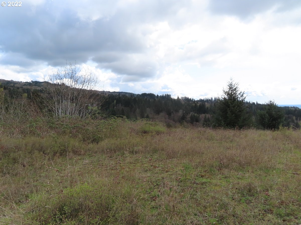 903 Confer Road Kalama, WA 98625 - Photo 13 of 24