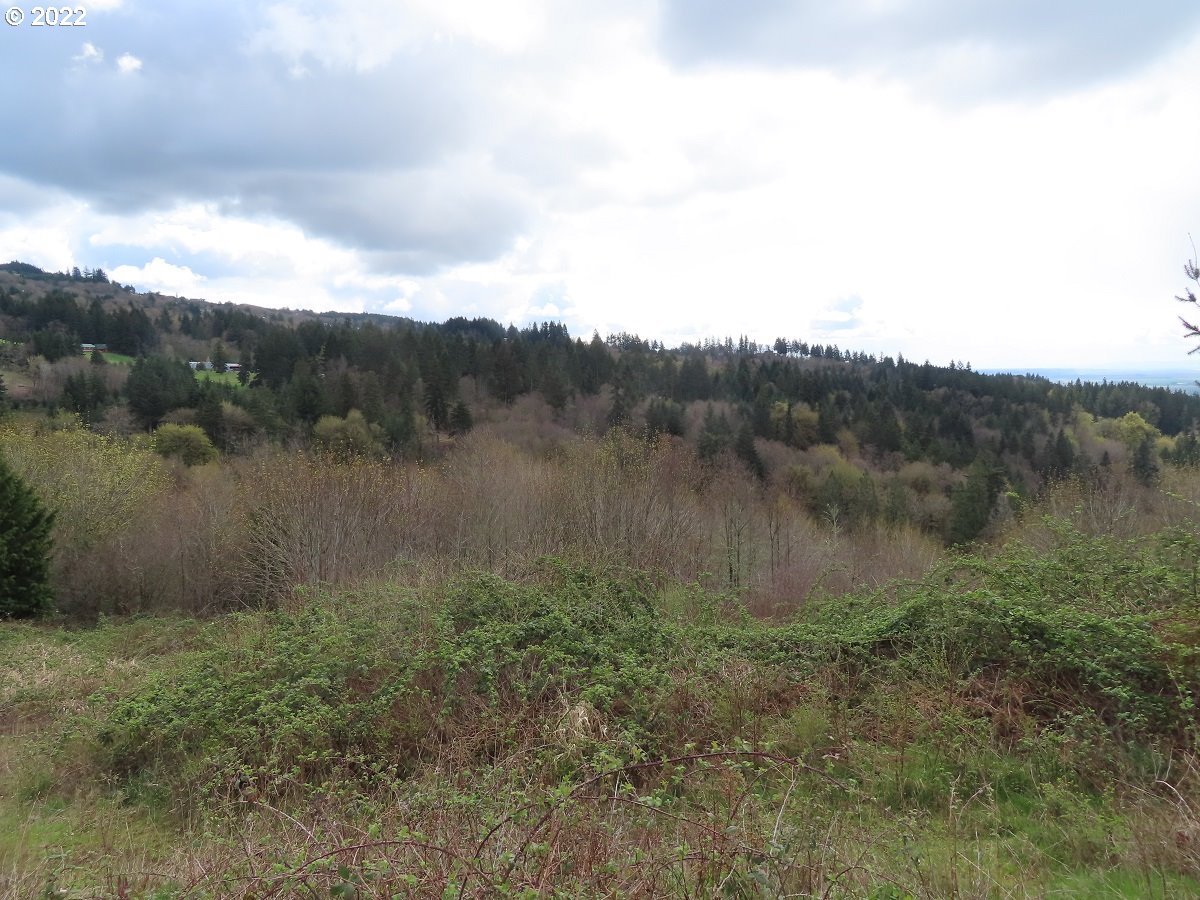 903 Confer Road Kalama, WA 98625 - Photo 14 of 24