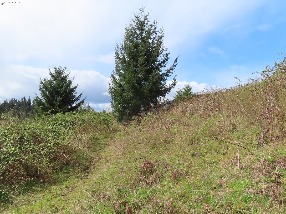 903 Confer Road Kalama, WA 98625 - Photo 15 of 24