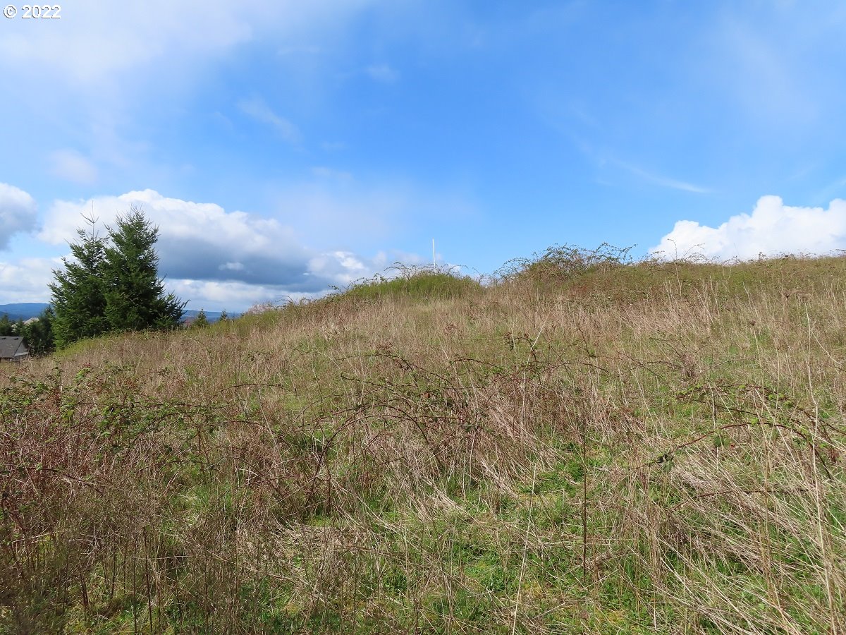 903 Confer Road Kalama, WA 98625 - Photo 16 of 24