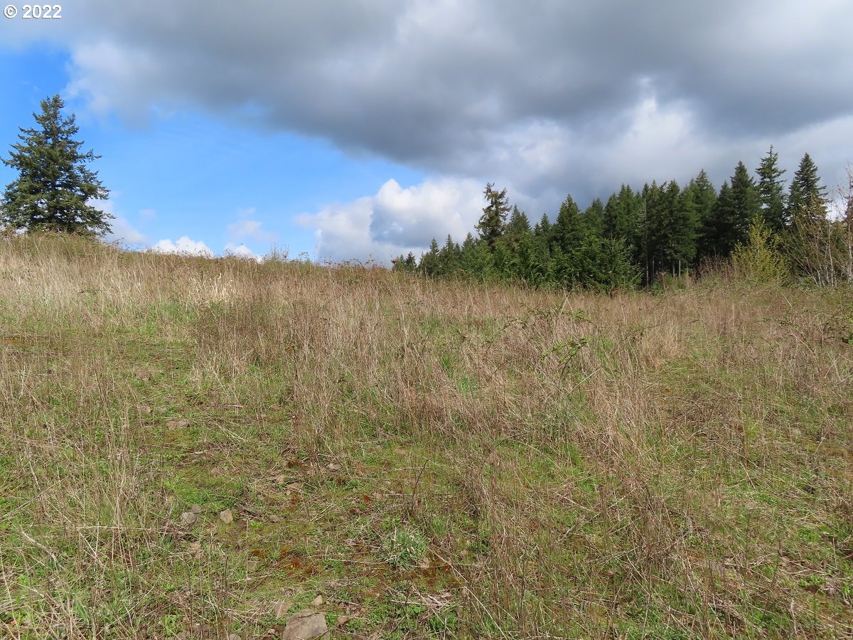 903 Confer Road Kalama, WA 98625 - Photo 17 of 24