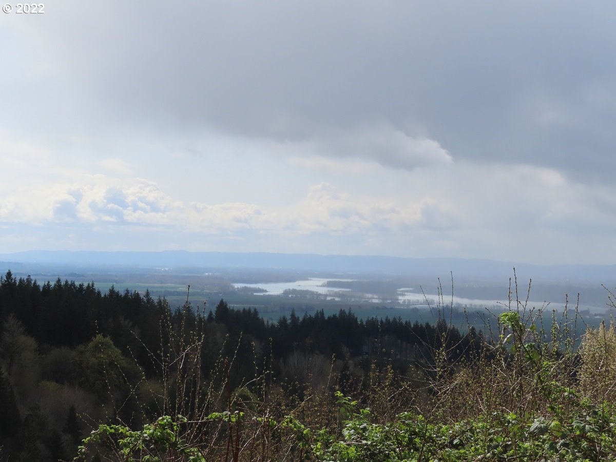 903 Confer Road Kalama, WA 98625 - Photo 18 of 24