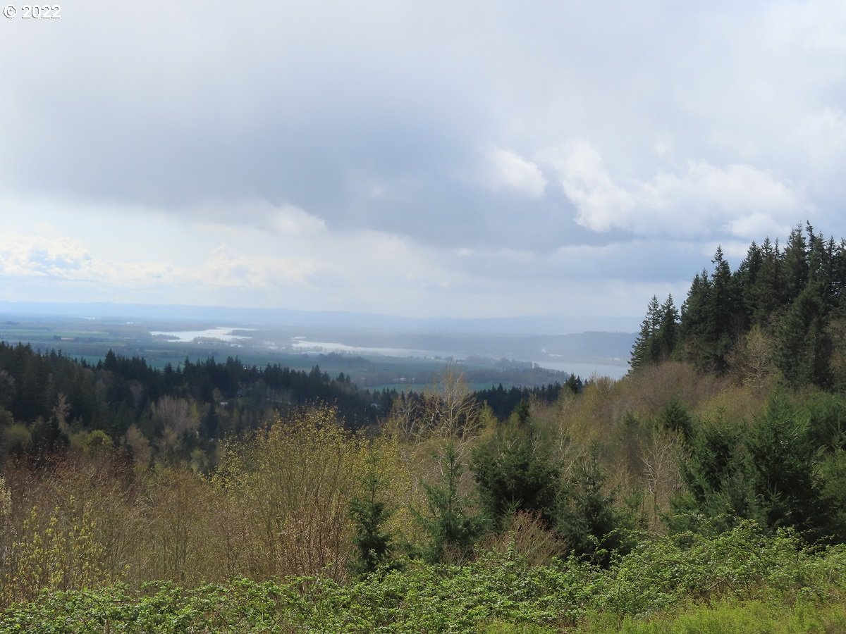 903 Confer Road Kalama, WA 98625 - Photo 19 of 24