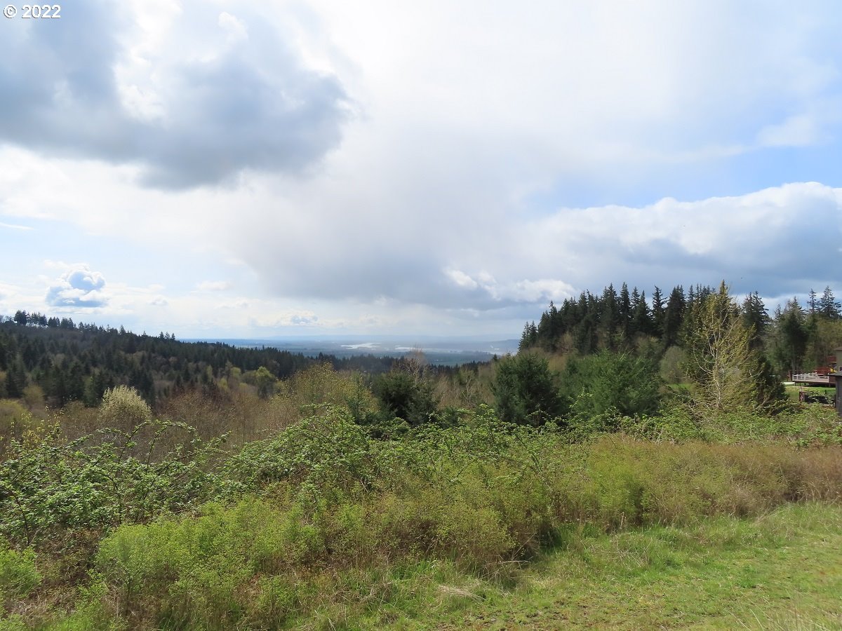 903 Confer Road Kalama, WA 98625 - Photo 20 of 24