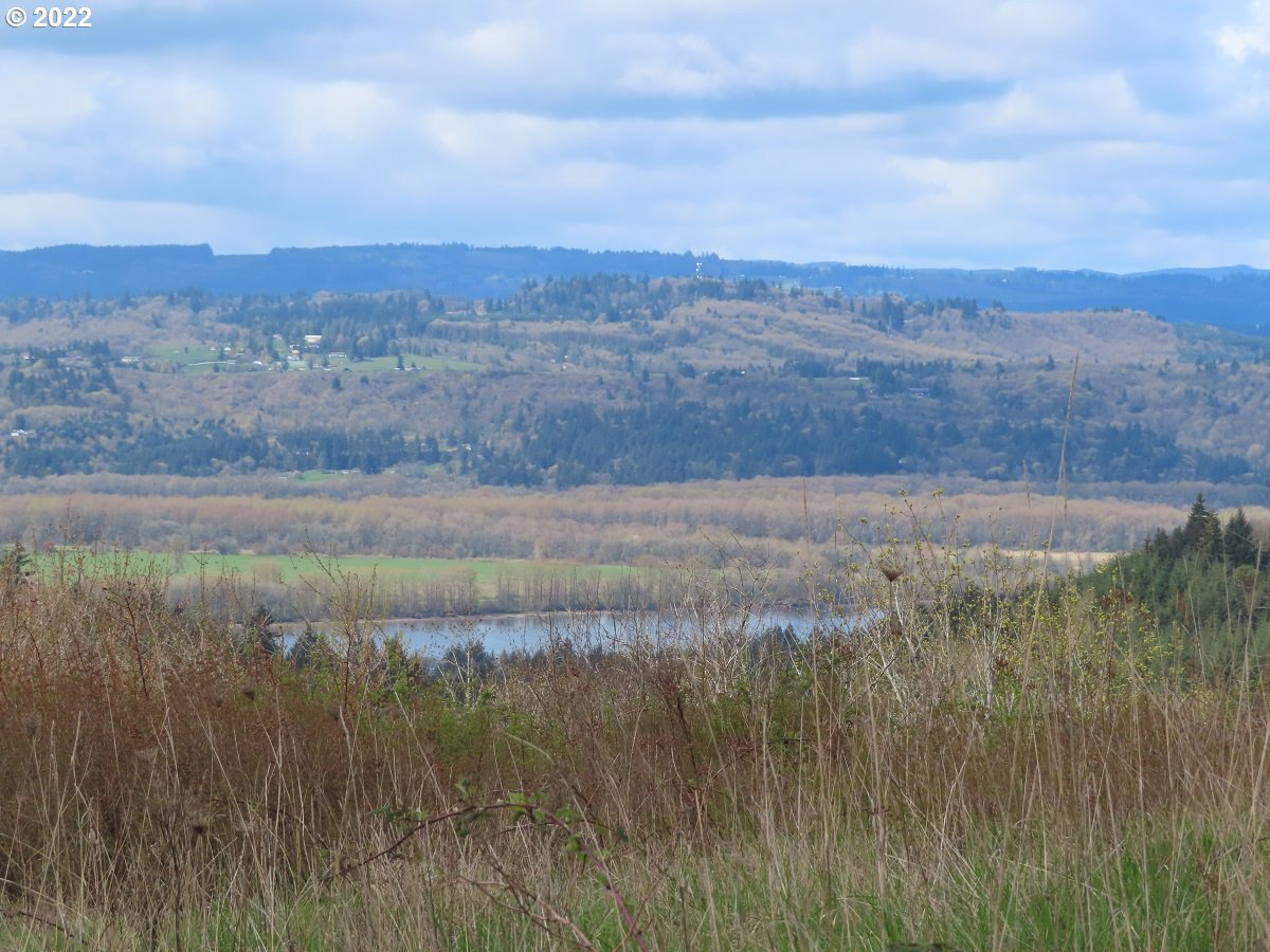 903 Confer Road Kalama, WA 98625 - Photo 2 of 24